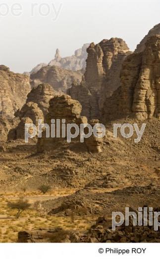 Sahara - Algrie (DZ000138.jpg)
