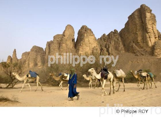 Sahara - Algrie (DZ000317.jpg)