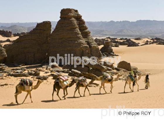 Sahara - Algrie (DZ000331.jpg)