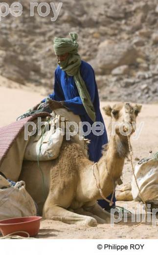Sahara - Algrie (DZ000426.jpg)