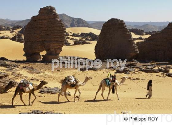 Sahara - Algrie (DZ000837.jpg)