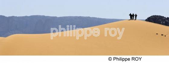 Sahara - Algrie (DZ000839.jpg)