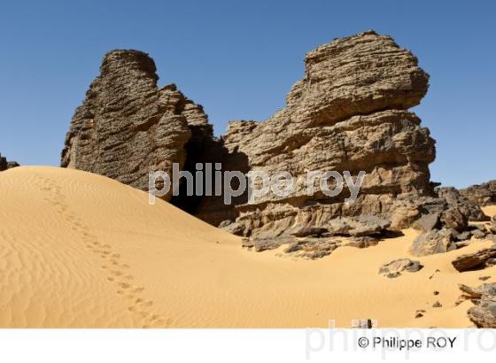 Sahara - Algrie (DZ001237.jpg)