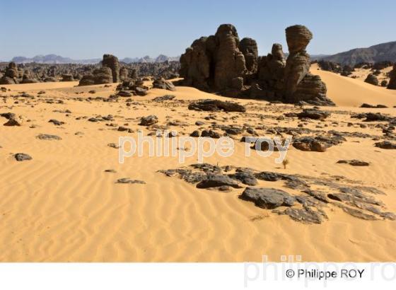 Sahara - Algrie (DZ001314.jpg)