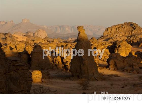 Sahara - Algrie (DZ001318.jpg)