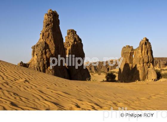 Sahara - Algrie (DZ001410.jpg)