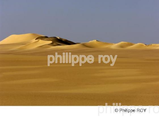 Le Sahara - Egypte (EG000115.jpg)
