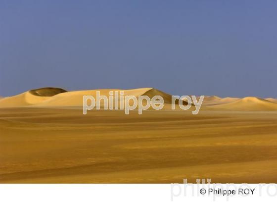 Le Sahara - Egypte (EG000116.jpg)