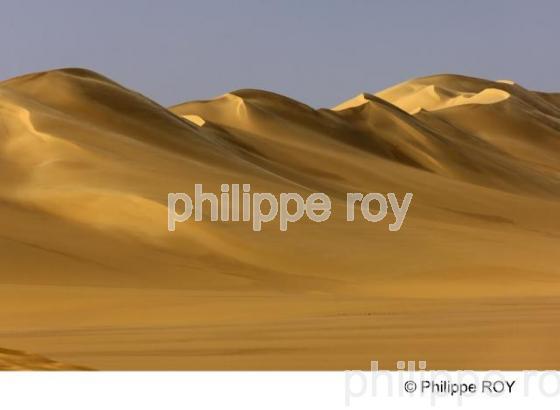 Le Sahara - Egypte (EG000121.jpg)
