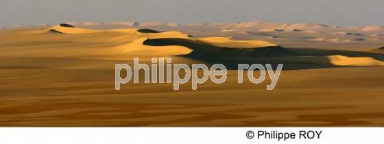 Le Sahara - Egypte (EG000129.jpg)