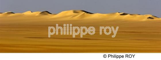 Le Sahara - Egypte (EG000132.jpg)
