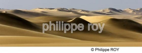 Le Sahara - Egypte (EG000134.jpg)