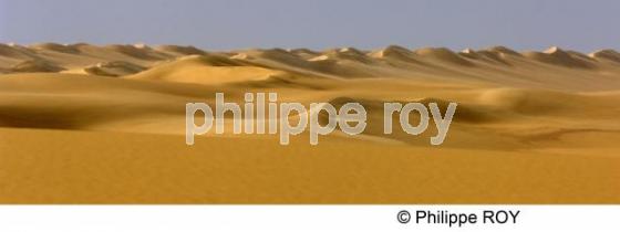 Le Sahara - Egypte (EG000135.jpg)