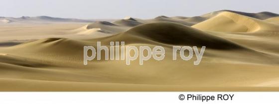Le Sahara - Egypte (EG000136.jpg)