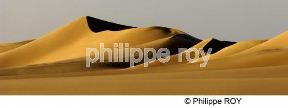 Le Sahara - Egypte (EG000139.jpg)