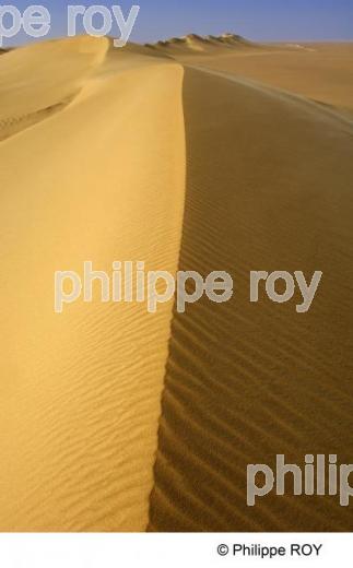 Le Sahara - Egypte (EG000212.jpg)