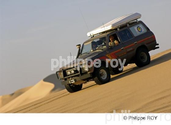 Le Sahara - Egypte (EG000229.jpg)