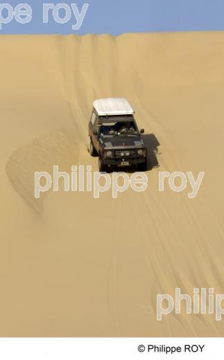 Le Sahara - Egypte (EG000231.jpg)