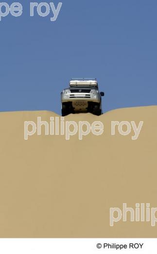 Le Sahara - Egypte (EG000232.jpg)