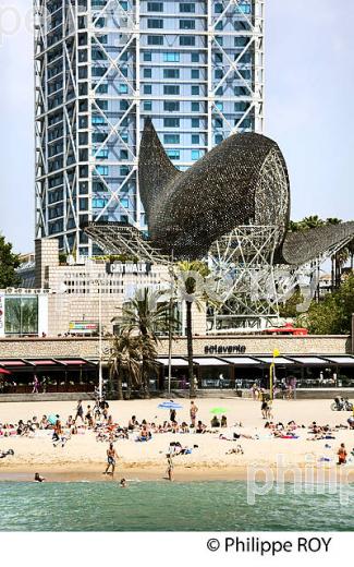 PLAGE DE LA BARCELONETA, LE POISSON,   ET HOTEL ARTS, QUARTIER DU PORT OLYMIQUE, BARCELONE, CATALOGNE, ESPAGNE. (ES000738.jpg)