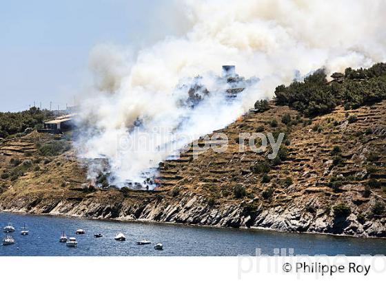 INCENDIE , PORT LLIGAT,  CADAQUES,  COSTA BRAVA,  GERONE, CATALOGNE. (ES002201.jpg)