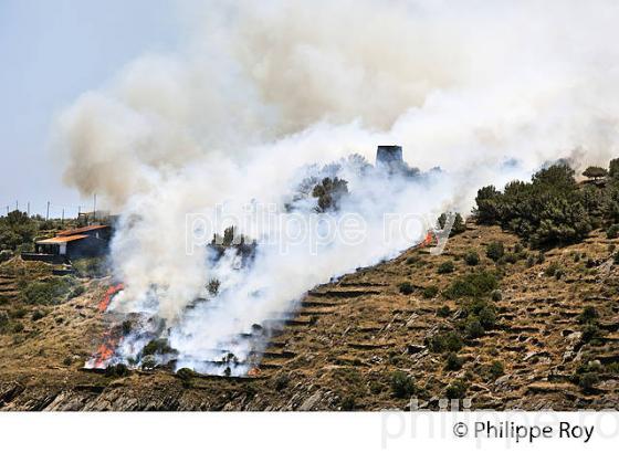 INCENDIE , PORT LLIGAT,  CADAQUES,  COSTA BRAVA,  GERONE, CATALOGNE. (ES002202.jpg)