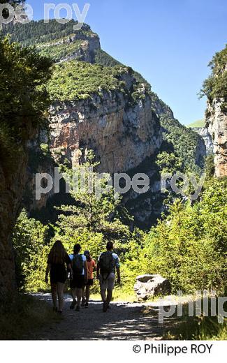 RANDONNEURS,  RIO VELLOS, CANYON DE ANISCLO, PYRENEES ARAGONAISES, ESPAGNE. (ES02501.jpg)