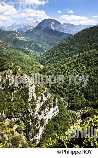 VILLAGE DE ESCUAIN, GARGANTA DE ESCUAIN, RIO YAGA, PYRENEES ARAGONAISES, ESPAGNE. (ES02613.jpg)