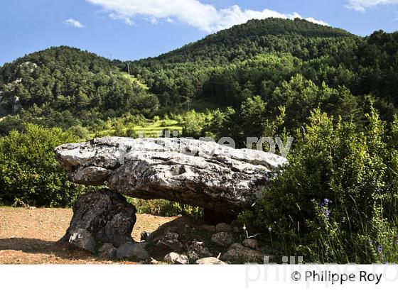 DOLMEN DE TELLA, VALLE DEL CINCA,  ET MASSIF DU MONT PERDU, PYRENEES ARAGONAISES, ESPAGNE. (ES02737.jpg)