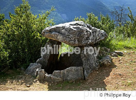 DOLMEN DE TELLA, VALLE DEL CINCA,  ET MASSIF DU MONT PERDU, PYRENEES ARAGONAISES, ESPAGNE. (ES02739.jpg)