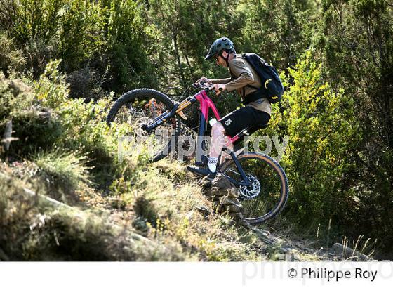 RANDONNEE EN  VELO VTT, ZONA ZERO,  AINSA, VALLEE  CINCA,  PYRENEES ARAGONAISES, ESPAGNE. (ES02817.jpg)