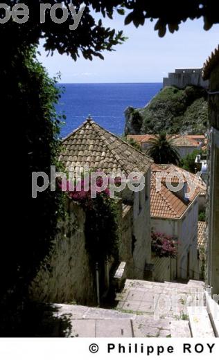 Dubrovnik - Croatie (HR002134.jpg)