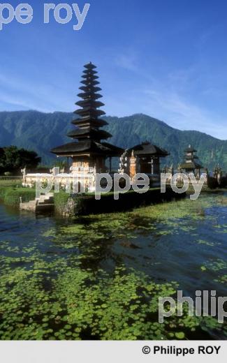 Ile de Bali (ID000206.jpg)