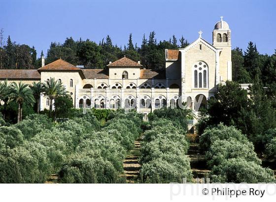 OLIVERAIE ET MONASTERE DE LATROUN, ISRAEL (IL000401.jpg)