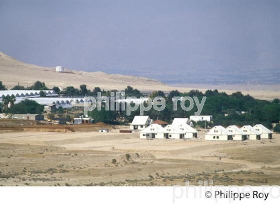 AGRICULTURE, COLONIES DE CISJORDANIE, ISRAEL (IL000408.jpg)