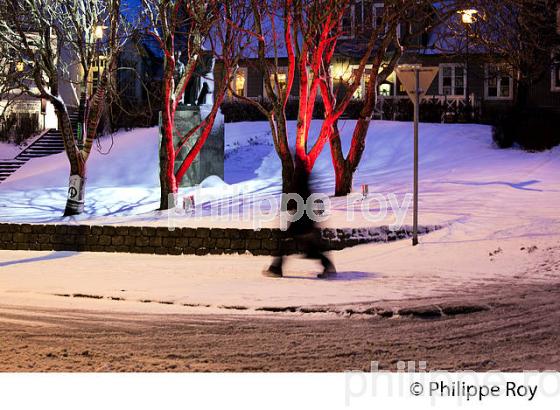 REYKJAVIK LA NUIT EN HIVER, ISLANDE (IS000305.jpg)