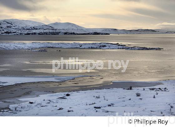 PARC NATIONAL DE THINGVELLIR,  SUDURLAND, ISLANDE (IS000319.jpg)