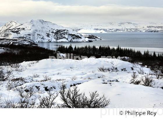 PARC NATIONAL DE THINGVELLIR,  SUDURLAND, ISLANDE (IS000327.jpg)