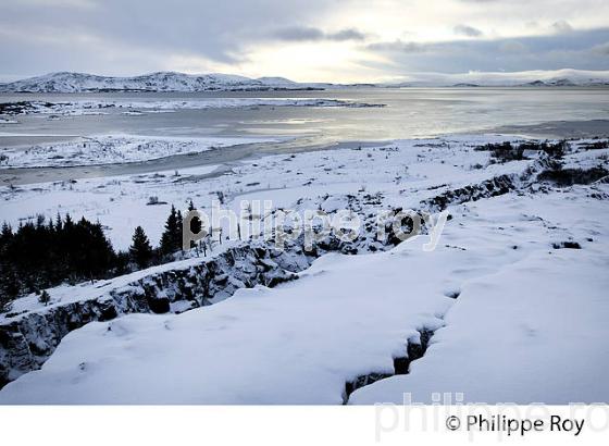 PARC NATIONAL DE THINGVELLIR,  SUDURLAND, ISLANDE (IS000329.jpg)
