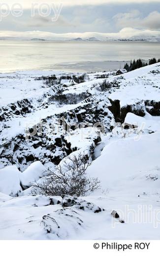 PARC NATIONAL DE THINGVELLIR,  SUDURLAND, ISLANDE (IS000331.jpg)