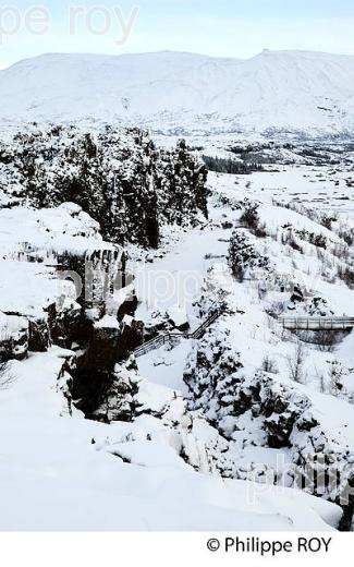 PARC NATIONAL DE THINGVELLIR,  SUDURLAND, ISLANDE (IS000332.jpg)