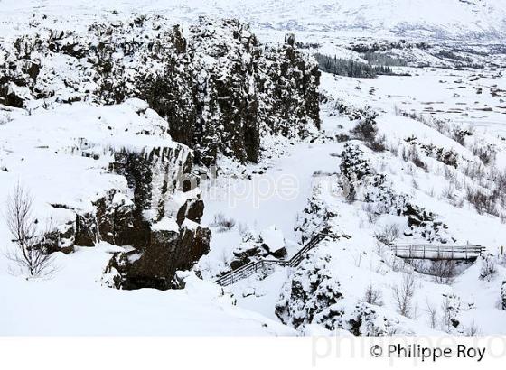 PARC NATIONAL DE THINGVELLIR,  SUDURLAND, ISLANDE (IS000333.jpg)