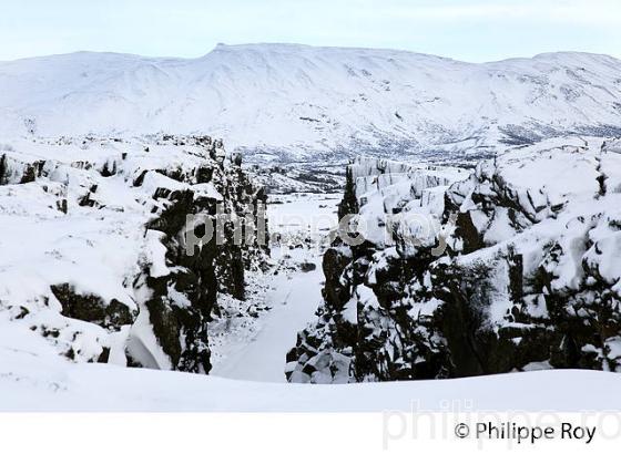 PARC NATIONAL DE THINGVELLIR,  SUDURLAND, ISLANDE (IS000335.jpg)