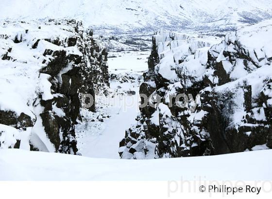 PARC NATIONAL DE THINGVELLIR,  SUDURLAND, ISLANDE (IS000336.jpg)