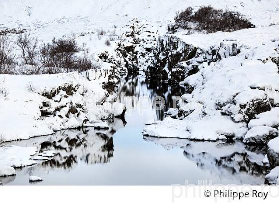PARC NATIONAL DE THINGVELLIR,  SUDURLAND, ISLANDE (IS000338.jpg)