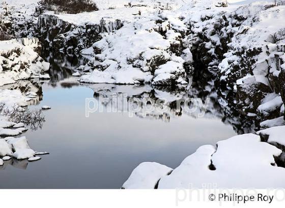 PARC NATIONAL DE THINGVELLIR,  SUDURLAND, ISLANDE (IS000340.jpg)