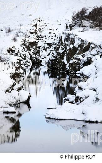 PARC NATIONAL DE THINGVELLIR,  SUDURLAND, ISLANDE (IS000403.jpg)