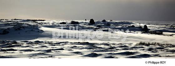 PAYSAGE DE NEIGE, SUDURLAND, ISLANDE (IS000409.jpg)