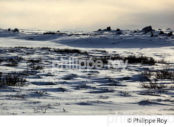 PAYSAGE DE NEIGE, SUDURLAND, ISLANDE (IS000410.jpg)