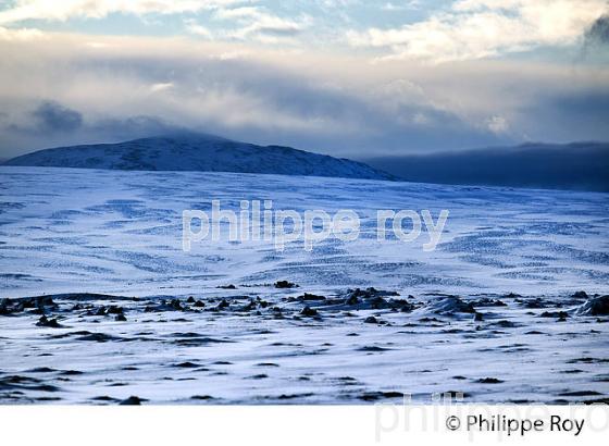 PAYSAGE DE NEIGE, SUDURLAND, ISLANDE (IS000414.jpg)